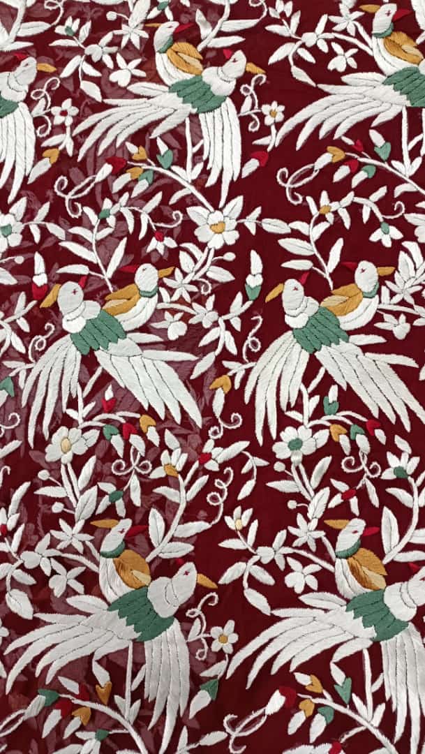 Namisha Parsi Gara saree