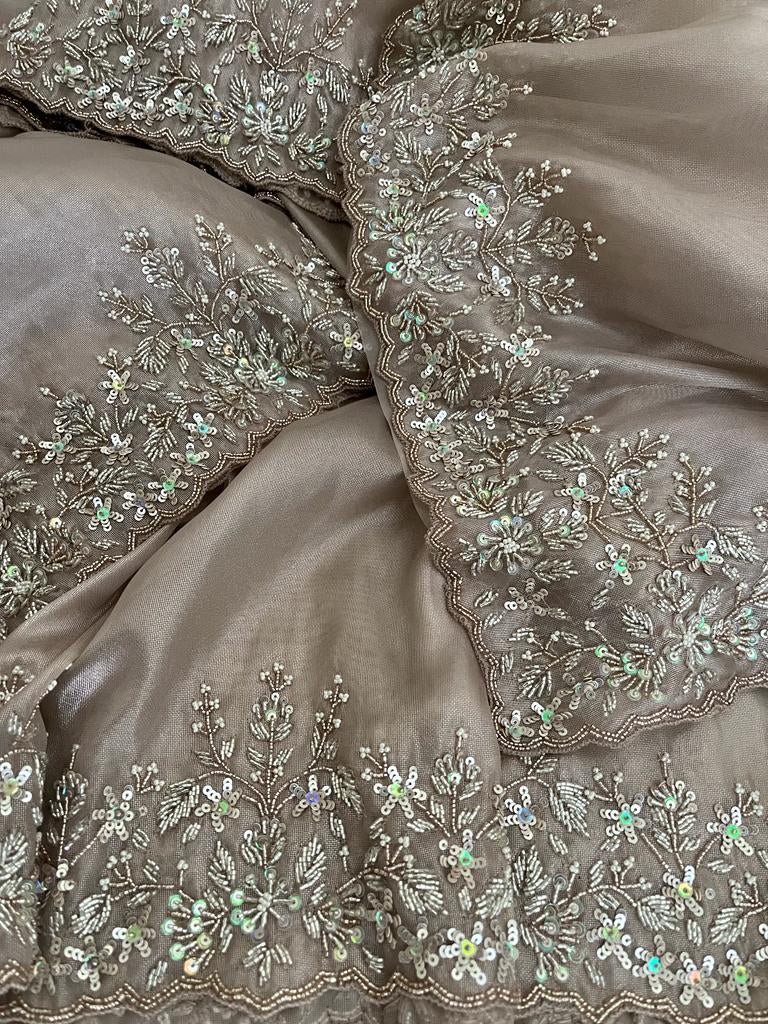Zinita tissue organza saree partywear saree