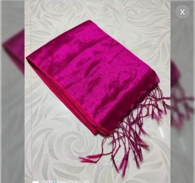 Women Tissue Saree/Indian saree