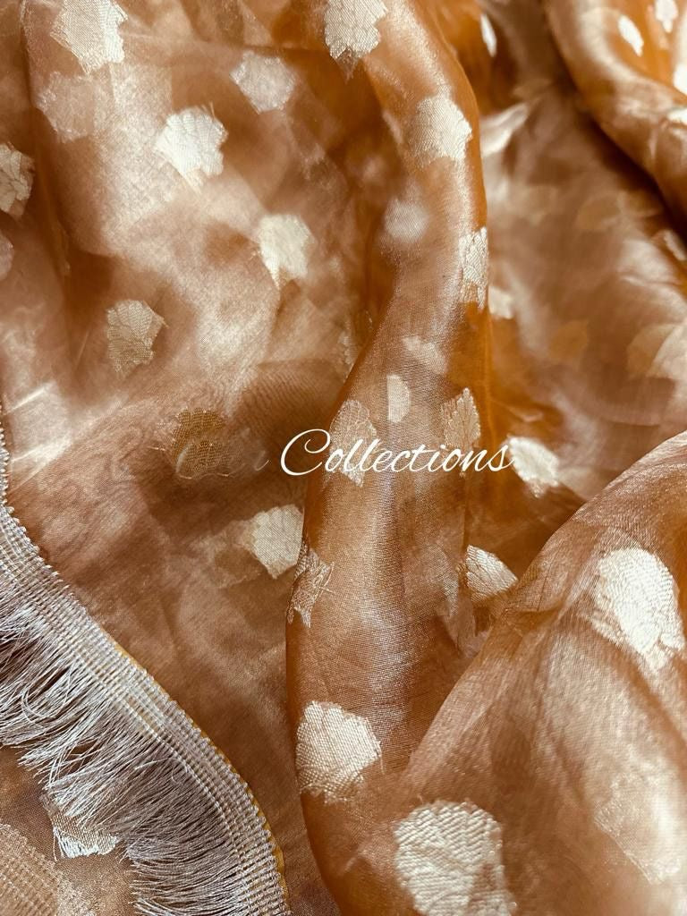 Rihani tissue silk weaving saree trendy sari
