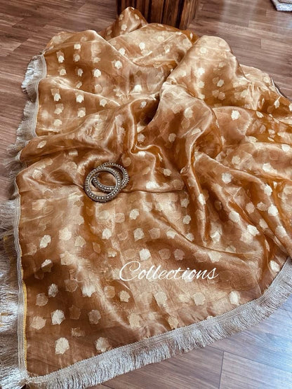 Rihani tissue silk weaving saree trendy sari