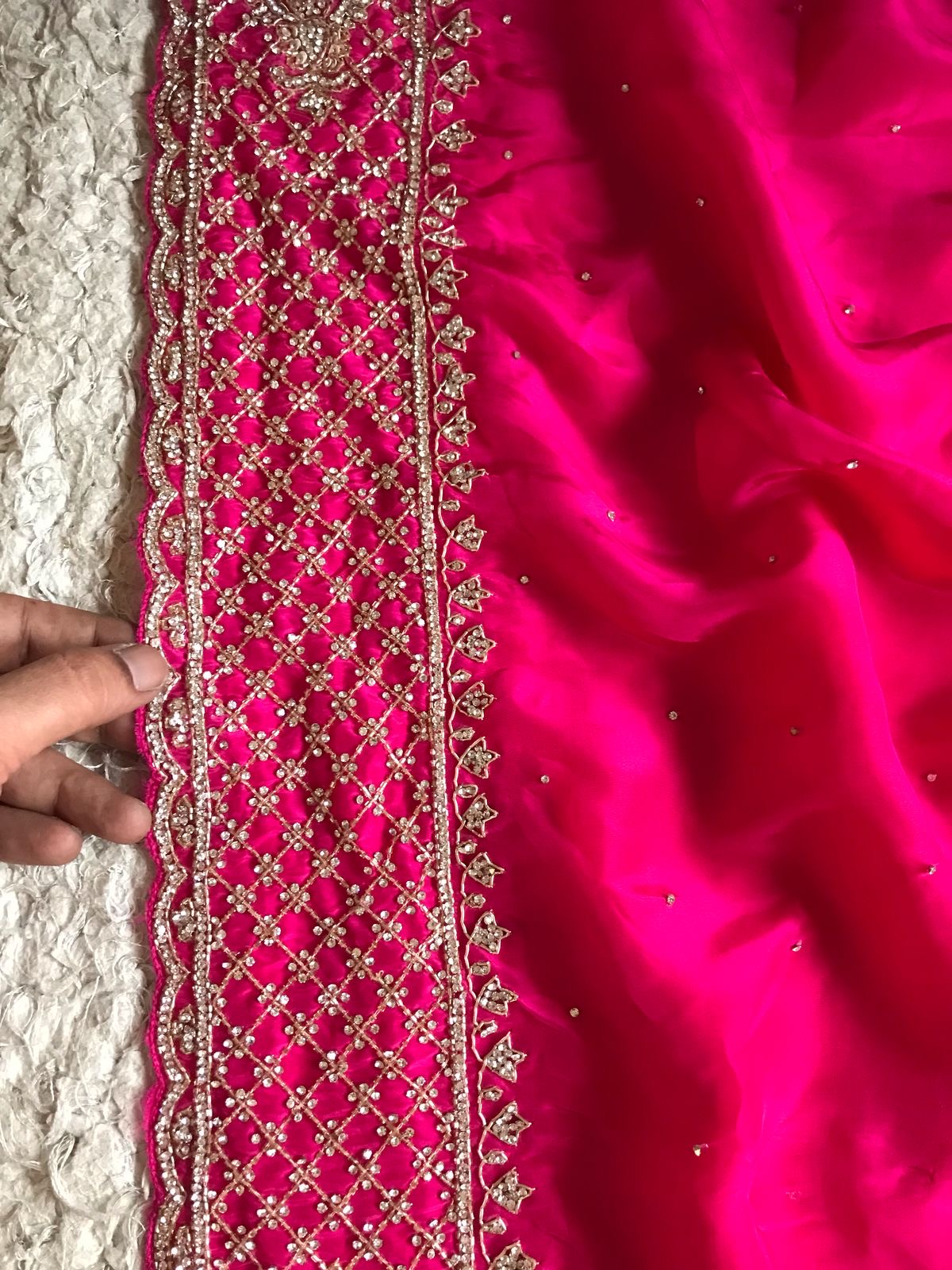 Lavisha Organza silk saree draping saree Beautiful sari blouse