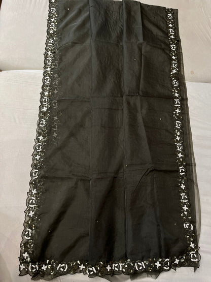 Rabina pearl sequins organza saree beautiful sari