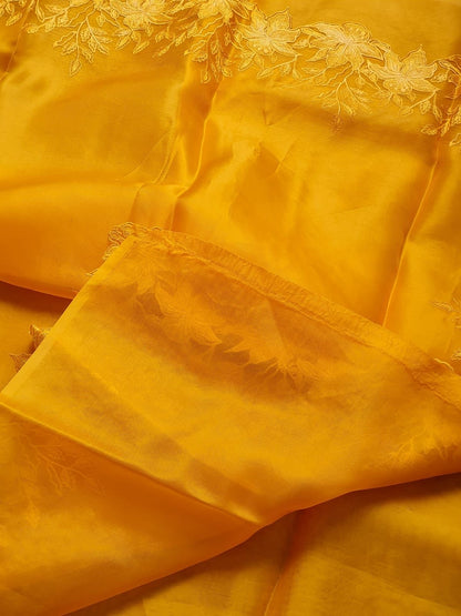 Anikashi Organza Saree Partywear saree blouse