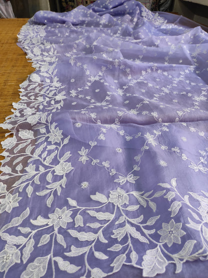 Nimisha organza silk saree scalloped inspired sarees