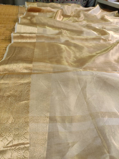 Ravina tissue organza silk sarees Indian sari