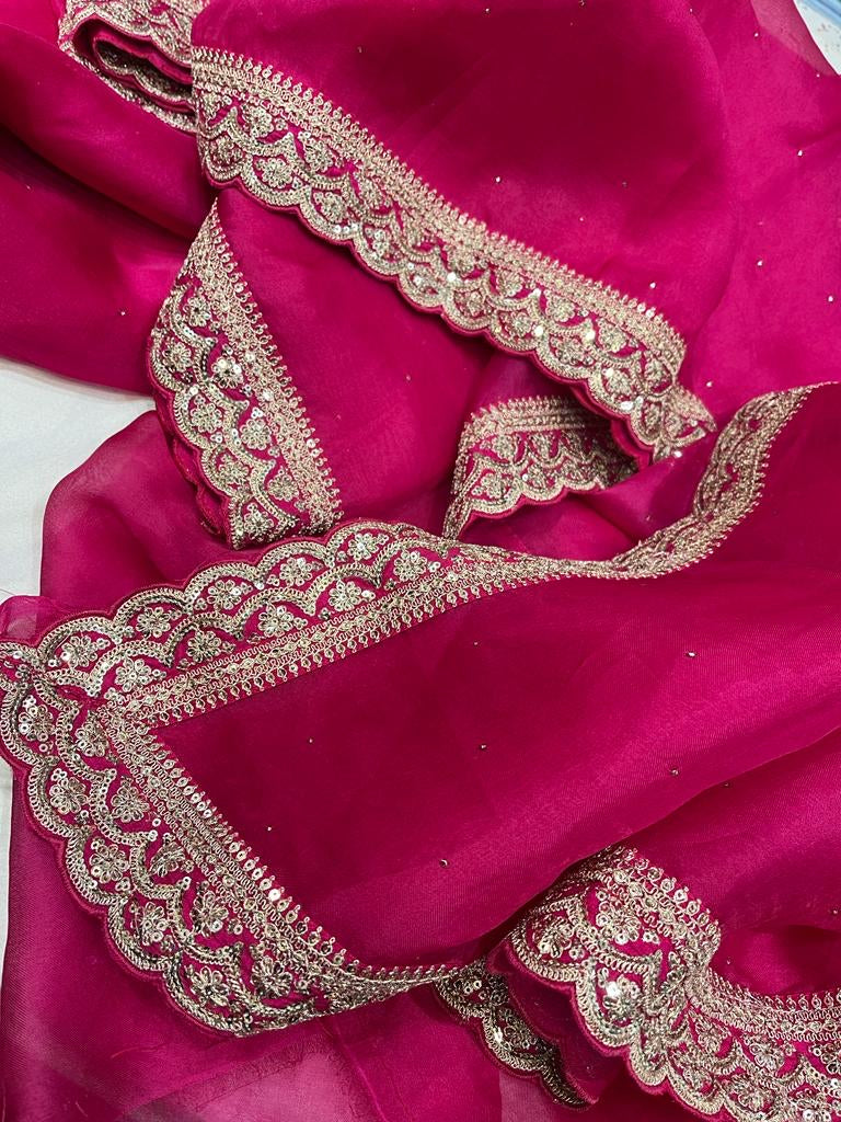 Rivaaz traditional Indian organza saree