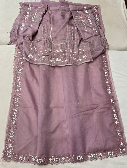Rabina pearl sequins organza saree beautiful sari