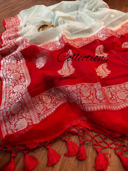 Chiffon Banarsi sexy women sari