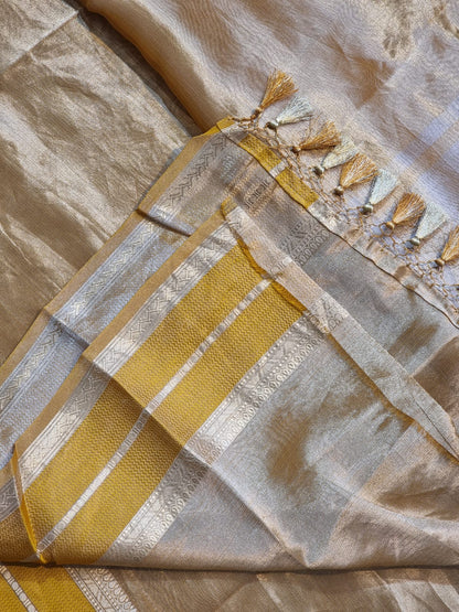 Niva tissue organza beautiful saree
