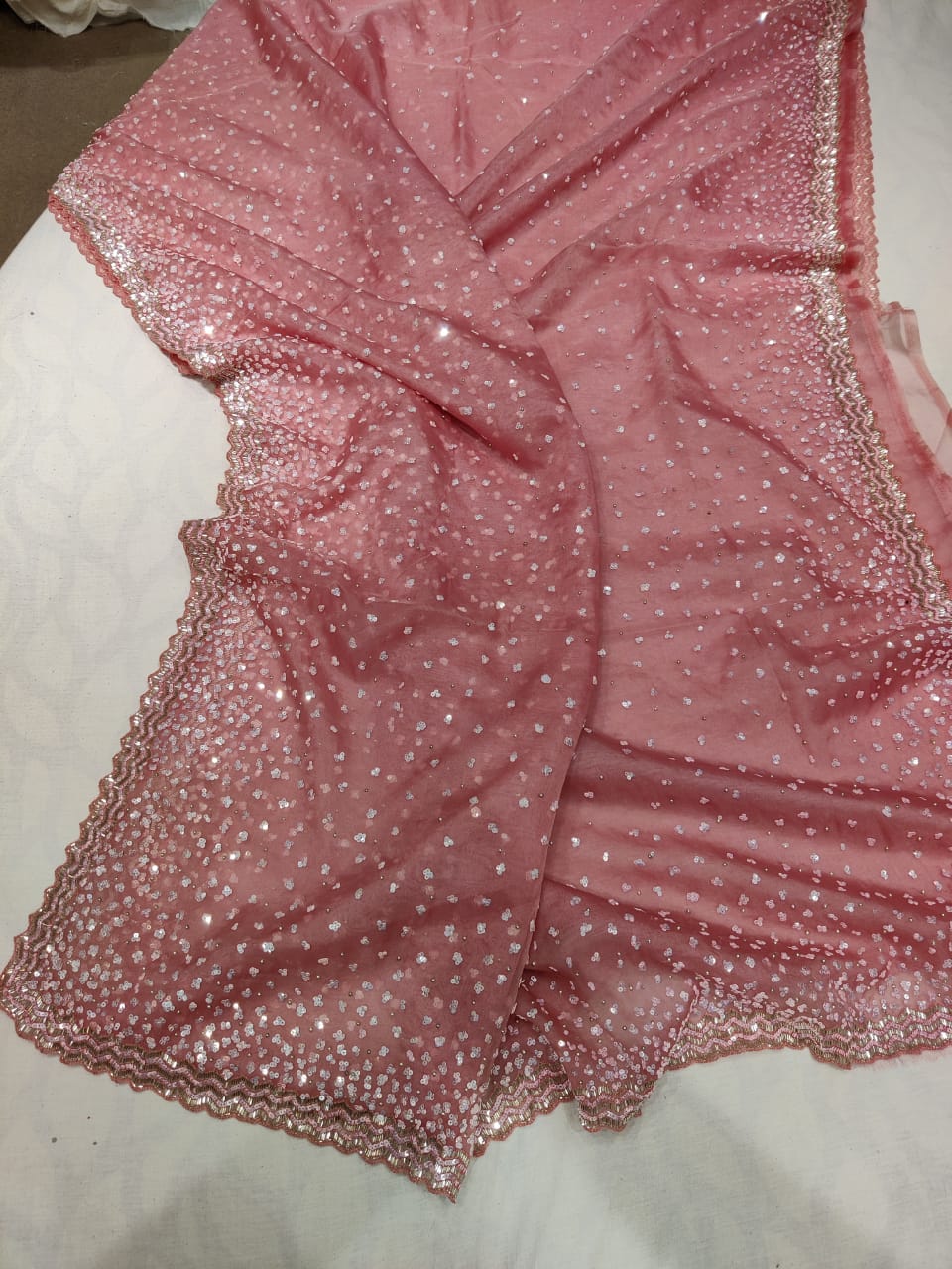 Rashim organza sequence saree