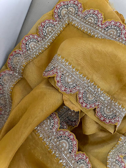 Ramia Meenakari tissue organza saree