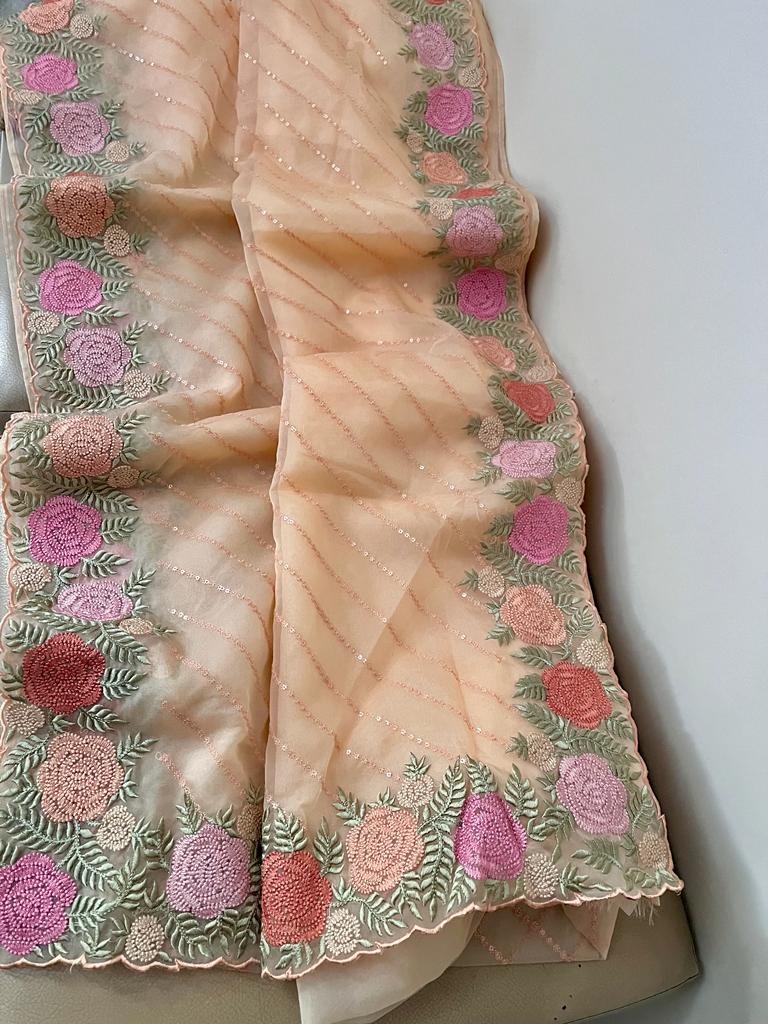 Lindia organza sequence saree