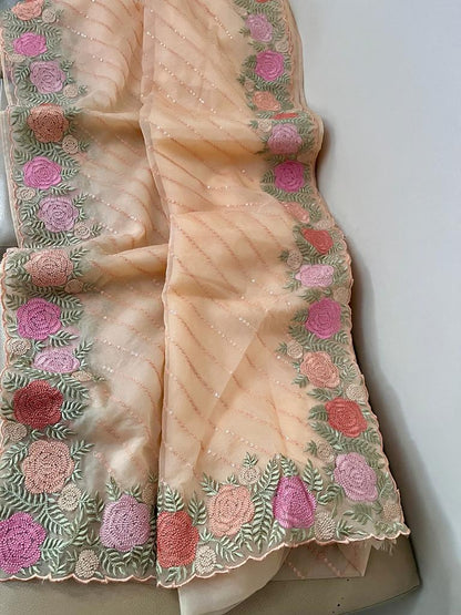 Lindia organza sequence saree