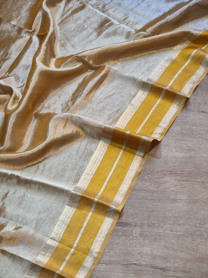 Niva tissue organza beautiful saree