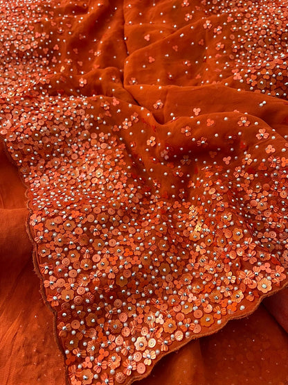 Ramisha gorgette beautiful women saree