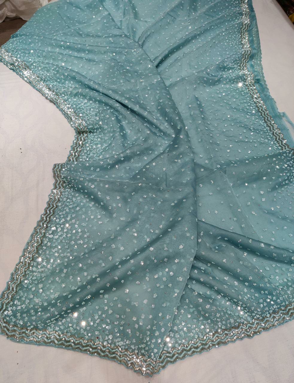 Rashim organza sequence saree