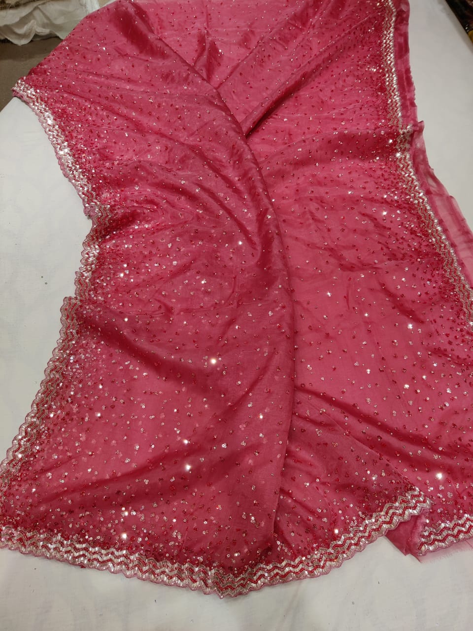Rashim organza sequence saree
