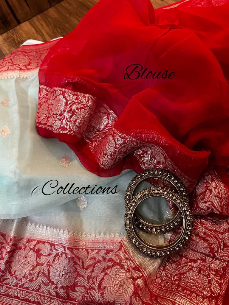 Chiffon Banarsi sexy women sari