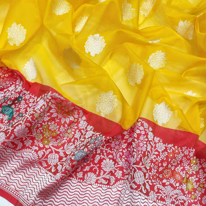 Yellow Katan handwoven kadwa saree
