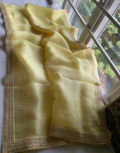 Valida organza beautiful saree