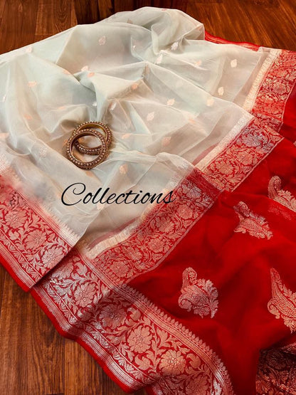 Chiffon Banarsi sexy women sari