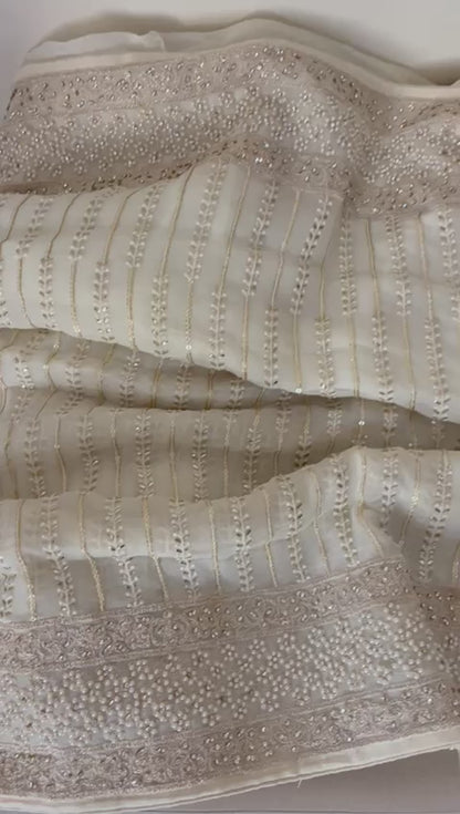 Ruhani gorgette sequence saree