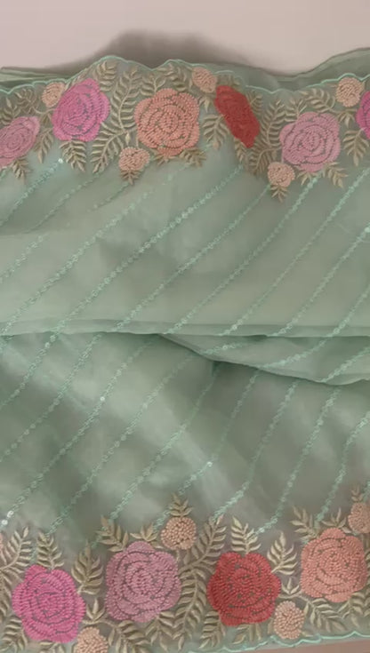 Lindia organza sequence saree