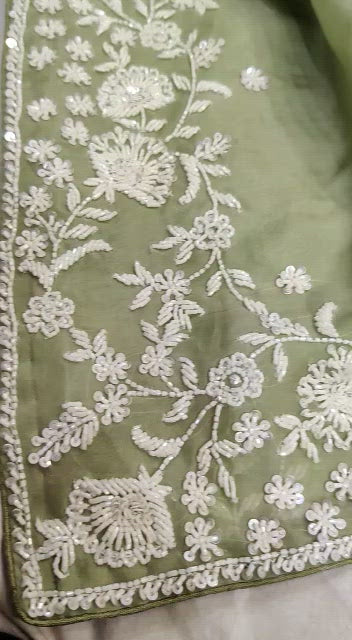 Madhavi zardosi organza saree