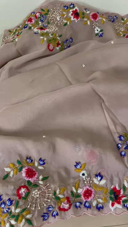 Rangbhara organza embroidery saree