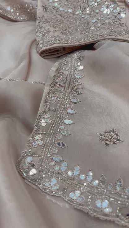 Gulnaari organza zardosi saree
