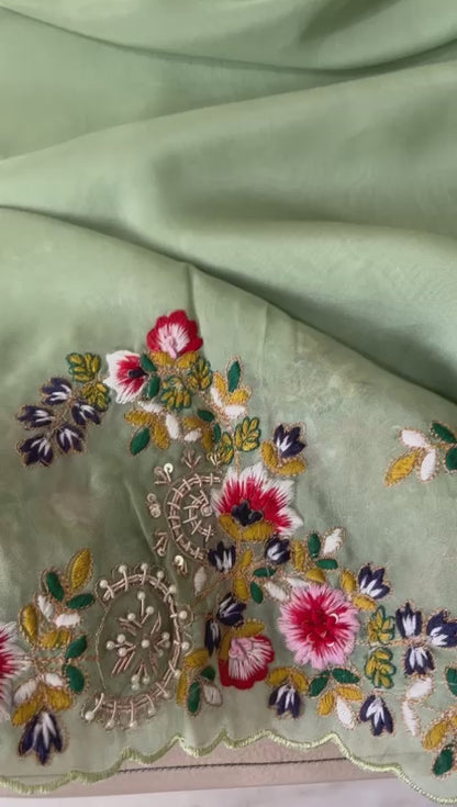 Rangbhara organza embroidery saree