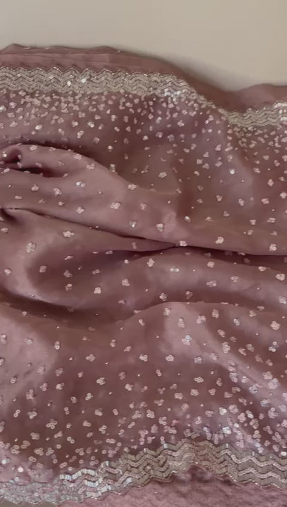 Susan organza katdana saree