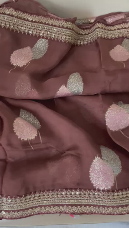 Rakhisha organza beautiful trendy saree