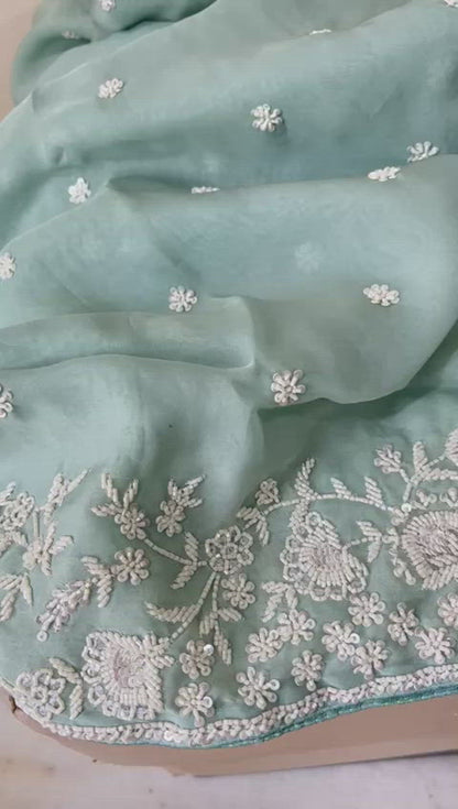 Inisha organza saree