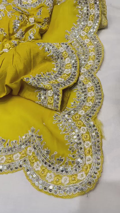 Sequence organza embroidery saree