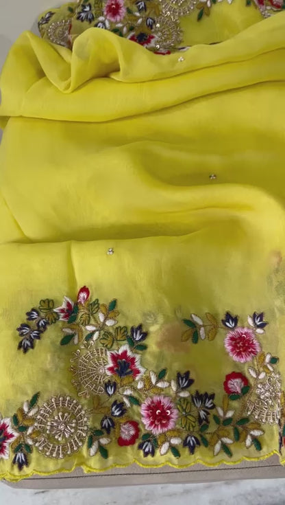 Rangbhara organza embroidery saree