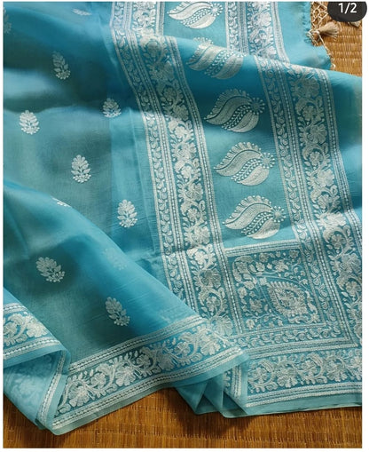 Pavika organza saree