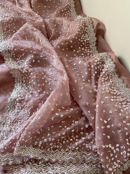Susan organza katdana saree