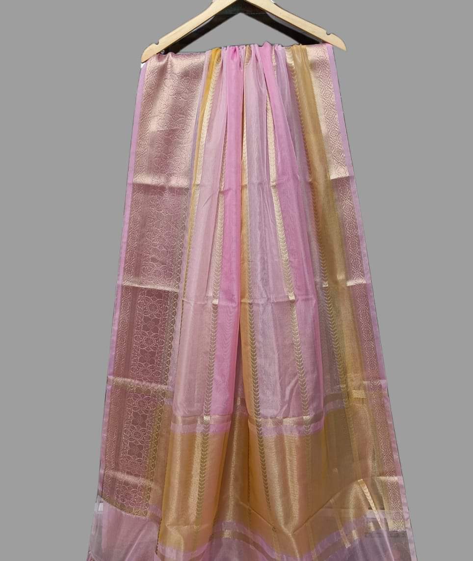 Tinisha Lehariya banarsi saree