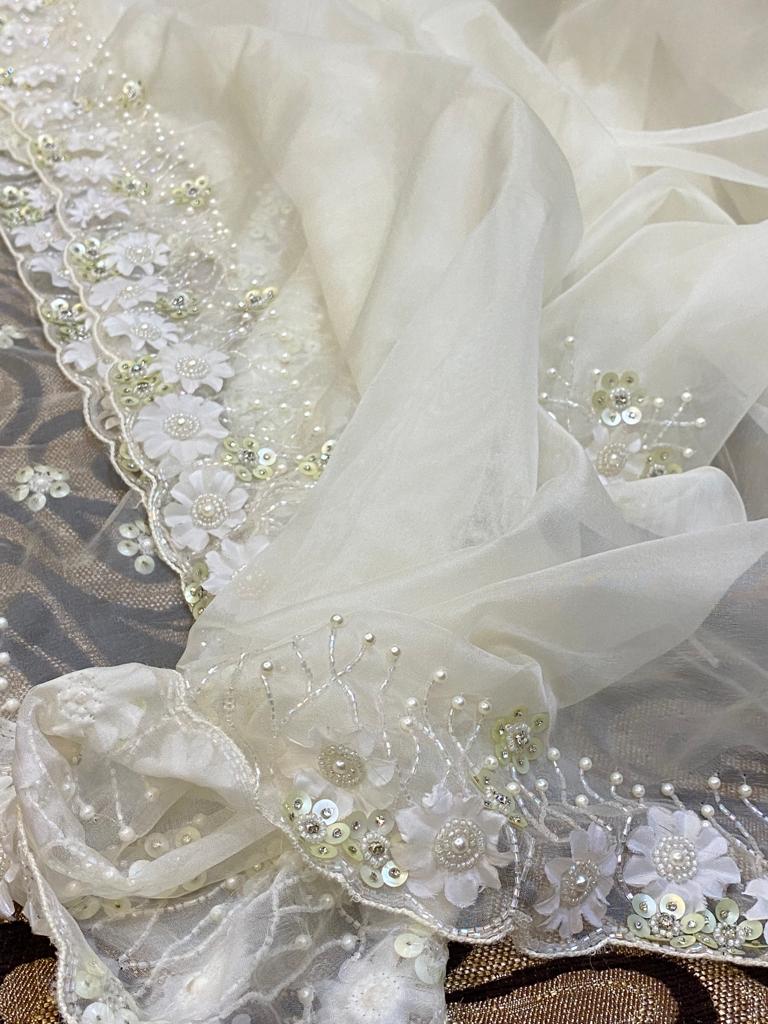 Fairly organza beautiful saree women sari