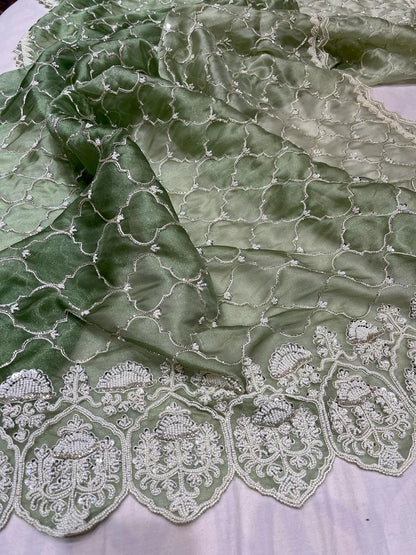 Tissue organza zardosi sares