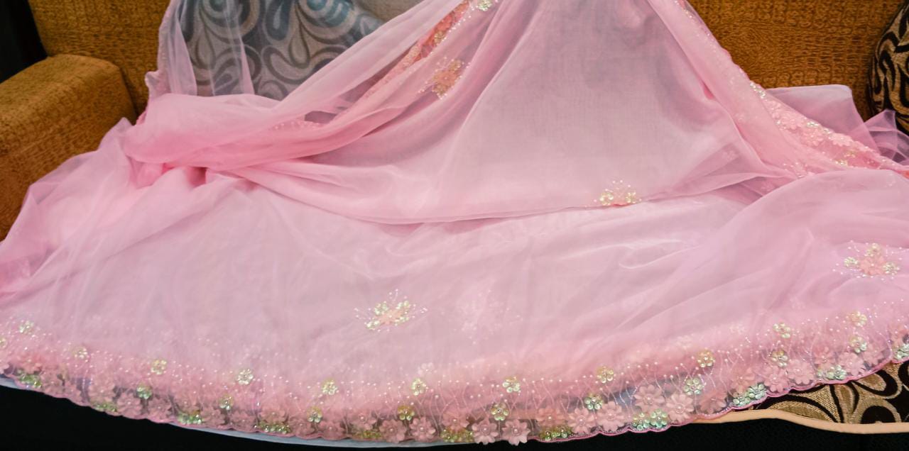 Fairly organza beautiful saree women sari