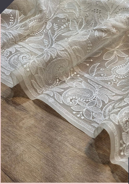 Danish chikankari organza saree