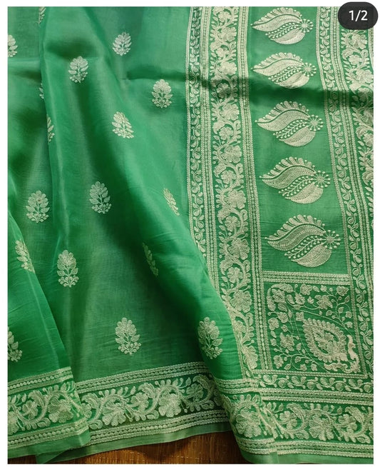 Pavika organza saree