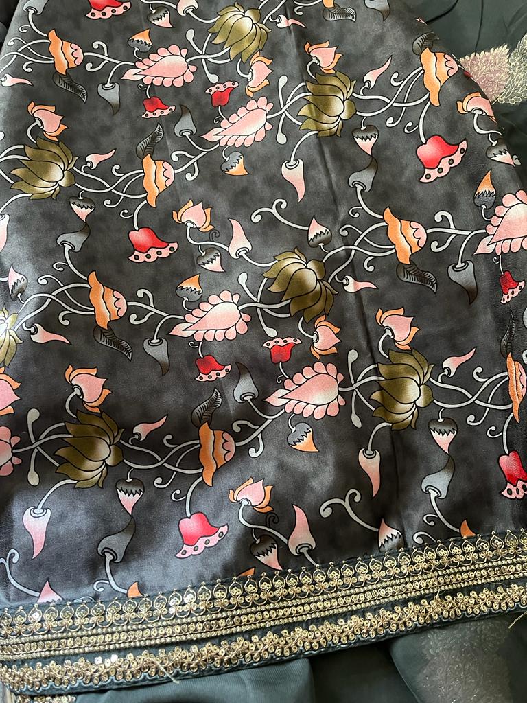 Rakhisha organza beautiful trendy saree