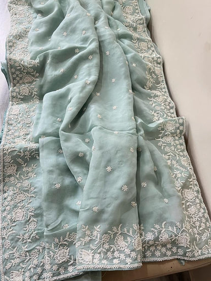 Inisha organza saree