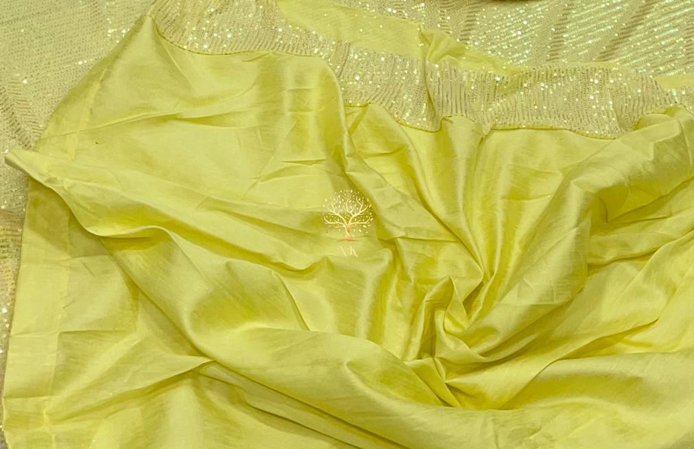 Elegant styled sequins saree