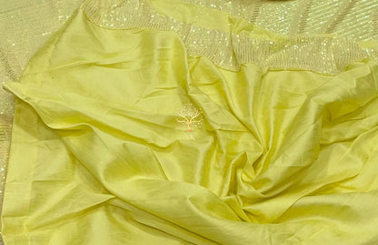 Elegant styled sequins saree