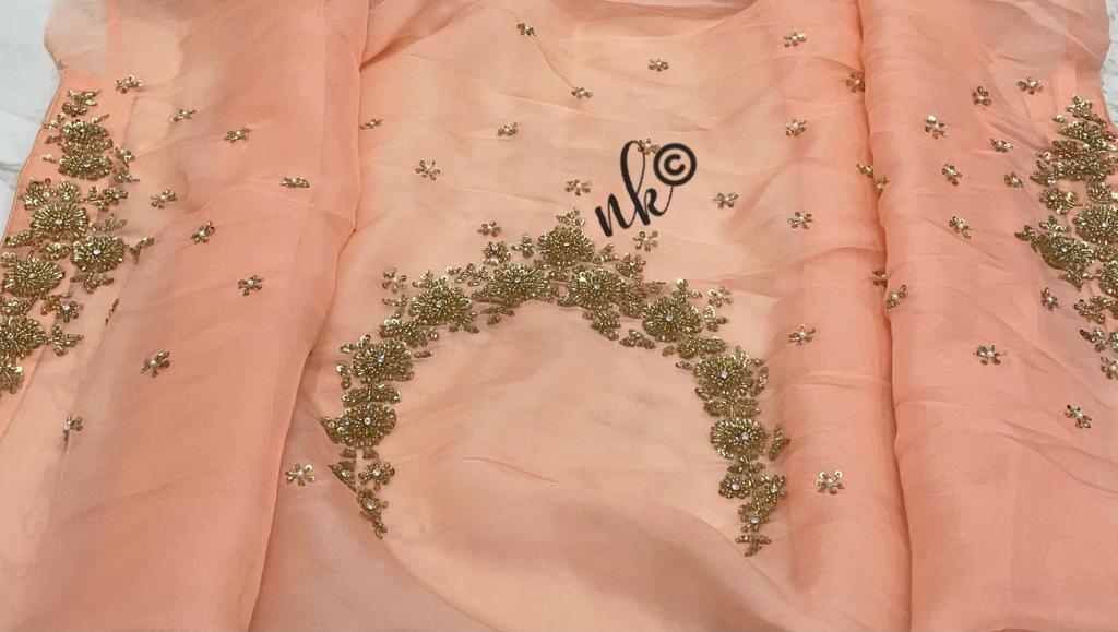 Zarkan inspired organza saree